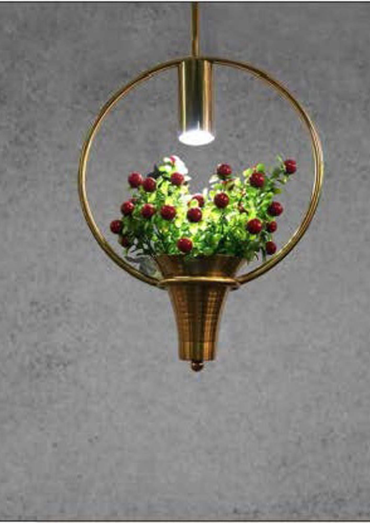 Beyond Lights - Hanging Plant Lamp- GL